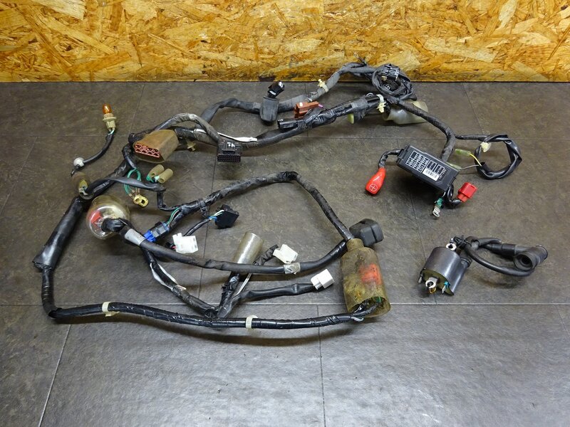 【260309】ダンク(AF74-1006)◆ メインハーネス ヒューズボックス イグニッションコイル | 中古バイクパーツ通販・買取　ジャンクヤード鳥取　JunkYard