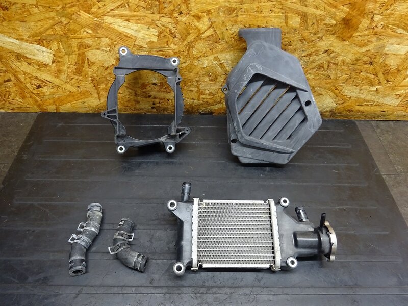 【250936】ダンク(AF74-1004)◆ ラジエーターセット ラジエーターコア ラジエーターカバー ラジエター ホース | 中古バイクパーツ通販・買取　ジャンクヤード鳥取　JunkYard